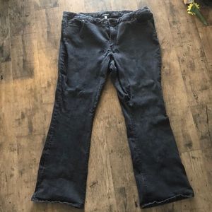 Jennifer Lopez size 22 bootcut